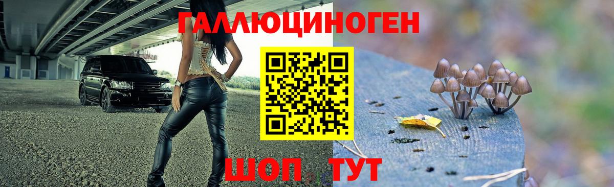 Псилоцибиновые грибы мухоморы  Вход с VPN  Шадринск  Галлюциногенные грибы Magic Shrooms 