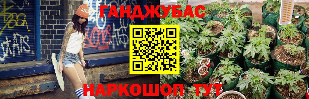 Канабис семена Шадринск